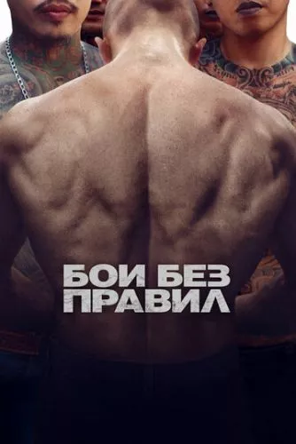 Бої без правил (2017)