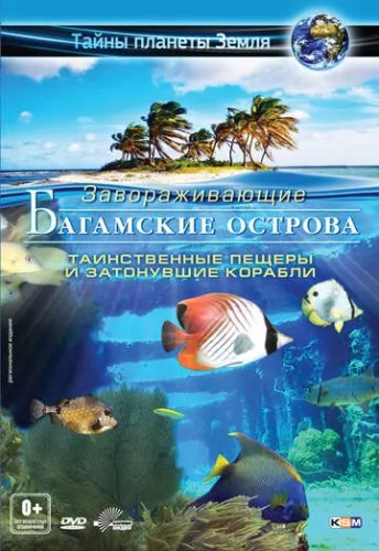 Багамські острови: Таємничі печери і затонулі кораблі (2012)