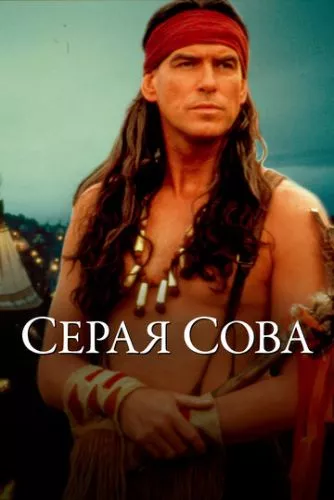 Сіра сова (1998)