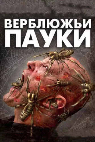 Верблюжі павуки (2011)